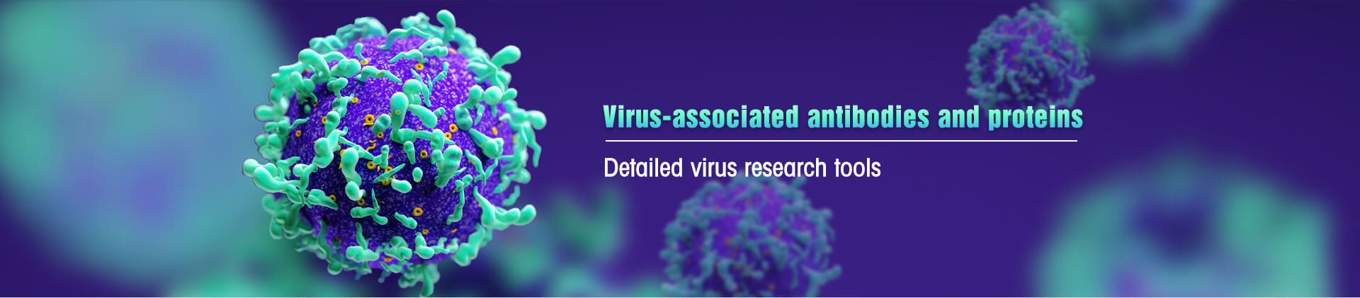 Antibodies and Proteins in Virus Research