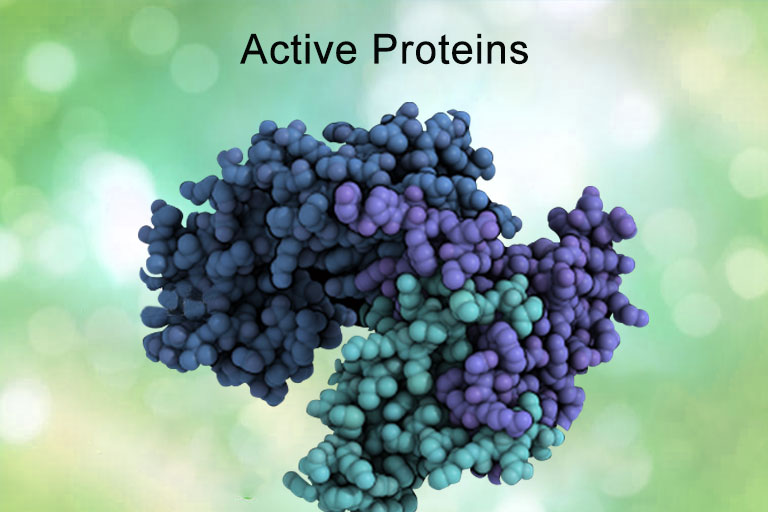 Active Proteins