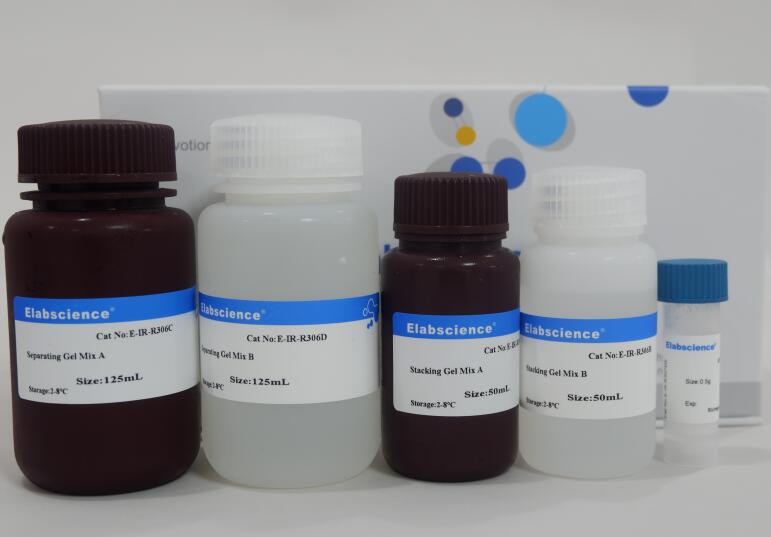 Rapid SDS-PAGE Gel kit E-IR-R306 manufacturer - Elabscience